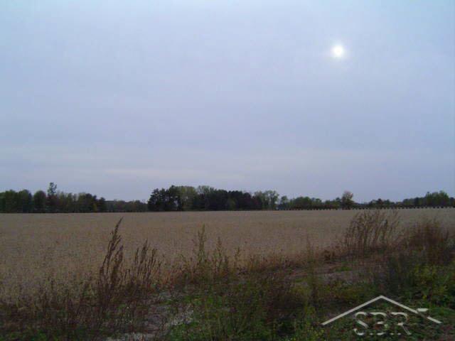10838 East Madison Road Wheeler, MI 48662 - Photo 3 of 8 20044311-2.JPG