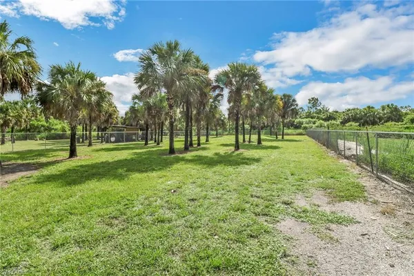 a view of a park with tree s