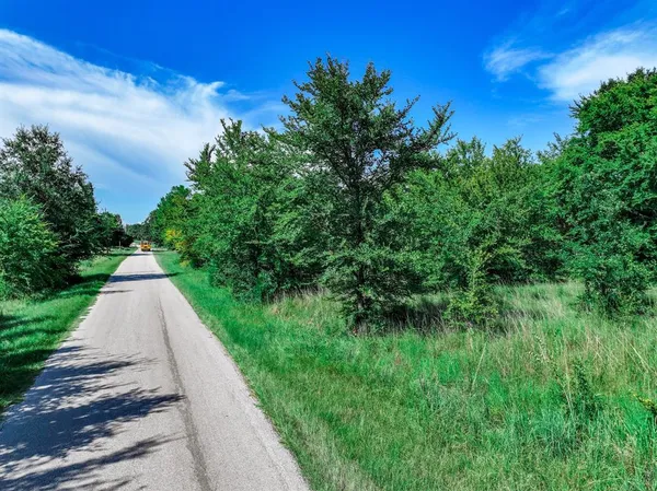 a view of a pathway both side of grassy field with trees