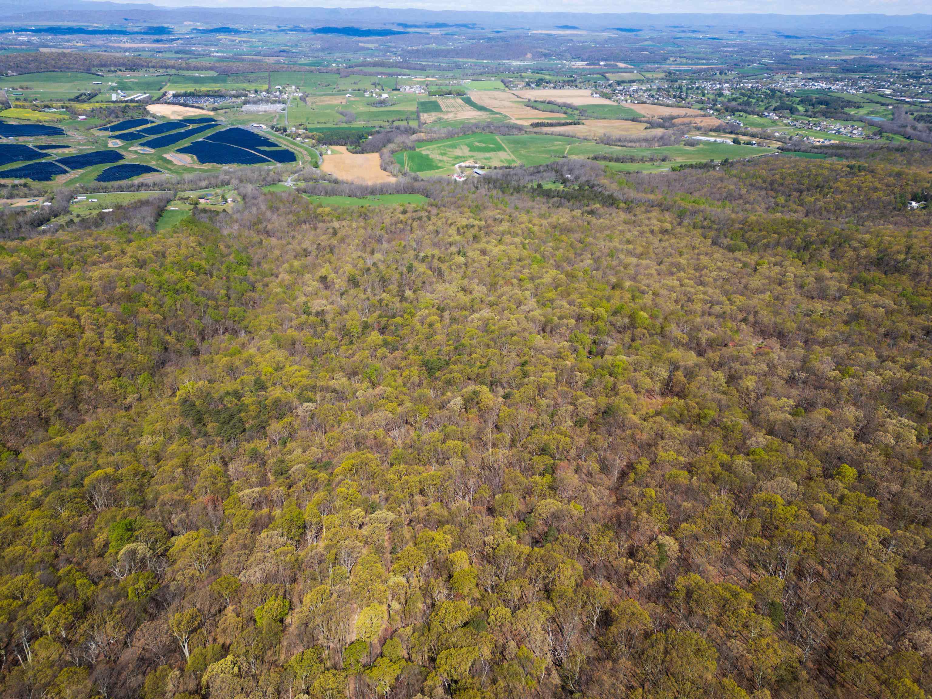 Tbd Shotgun Spring Road New Market, VA 22844 - Photo 13 of 27 a view of a field with an outdoor space