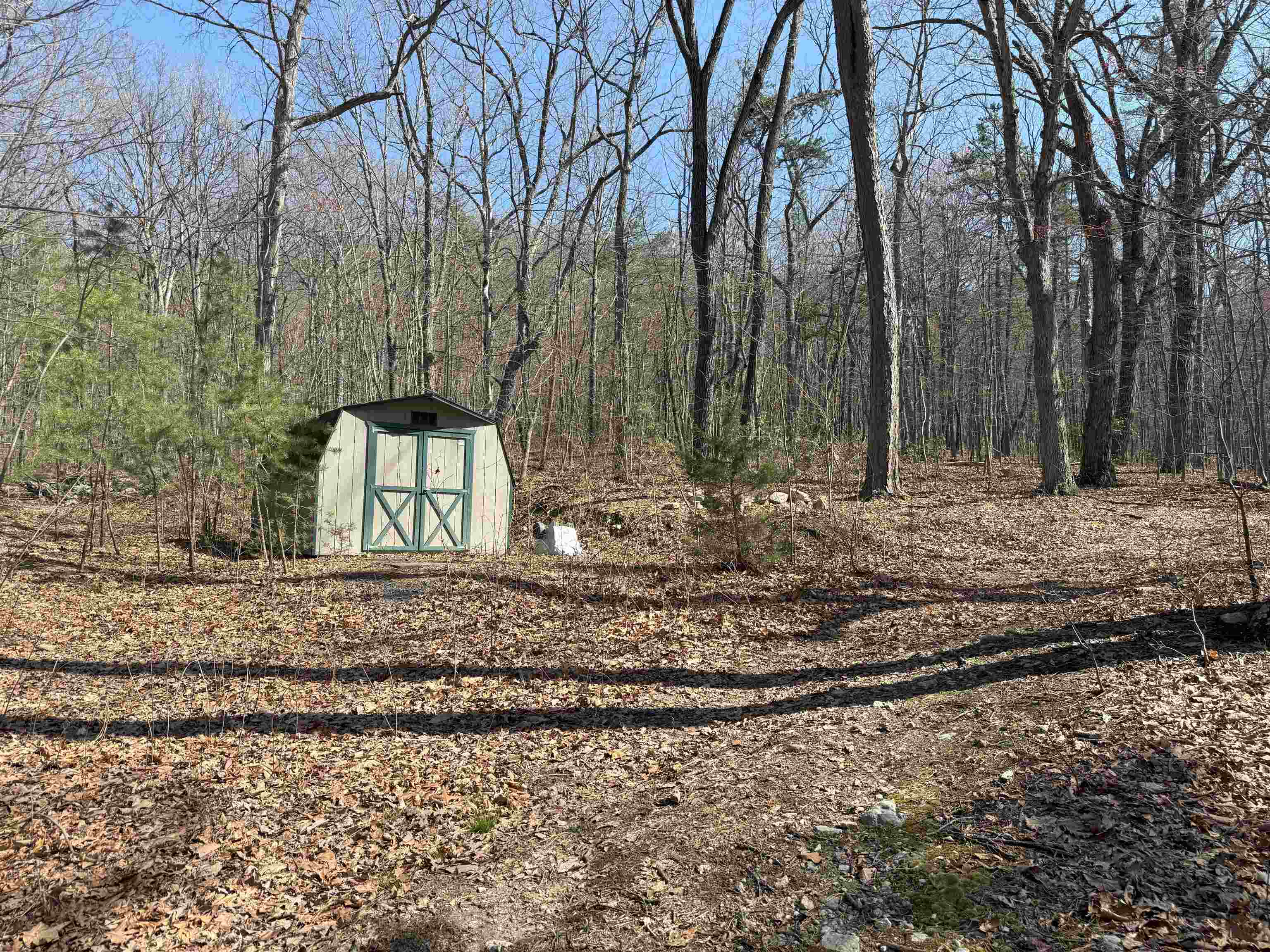 Tbd Shotgun Spring Road New Market, VA 22844 - Photo 21 of 27 a view of a yard with a trees