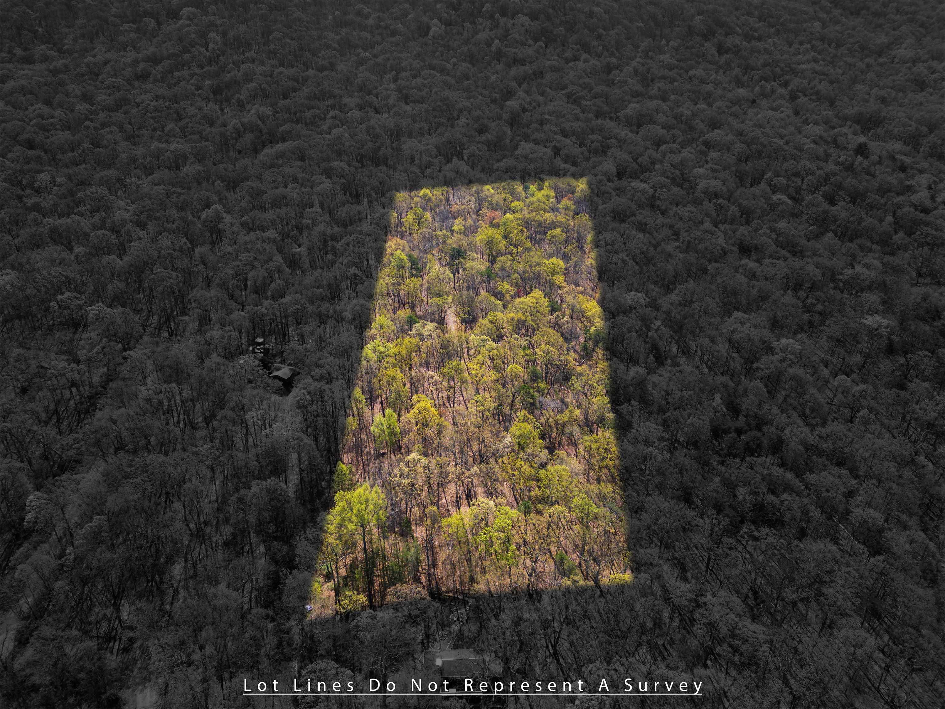 Tbd Shotgun Spring Road New Market, VA 22844 - Photo 8 of 27 a bathroom with a shower