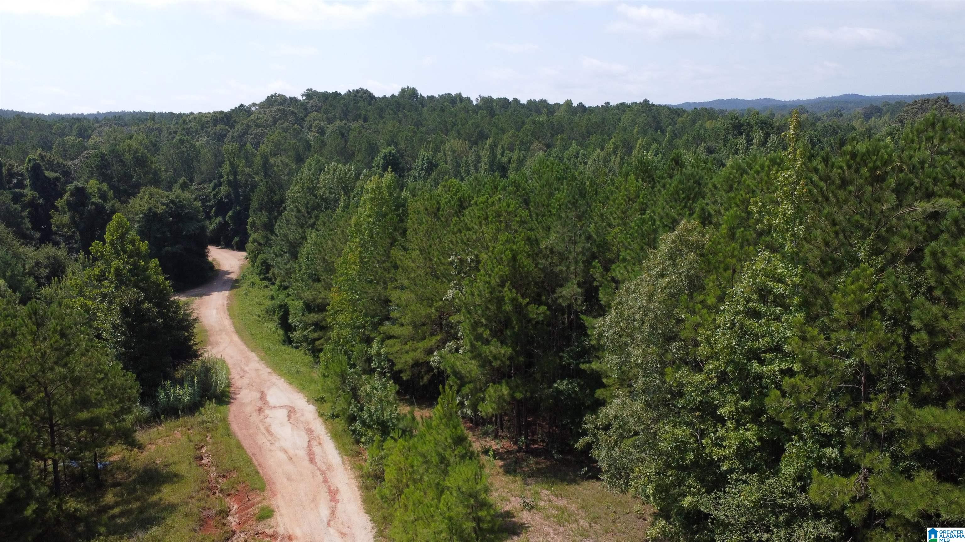 Lane Branch Road Wedowee, AL 36278 - Photo 9 of 12