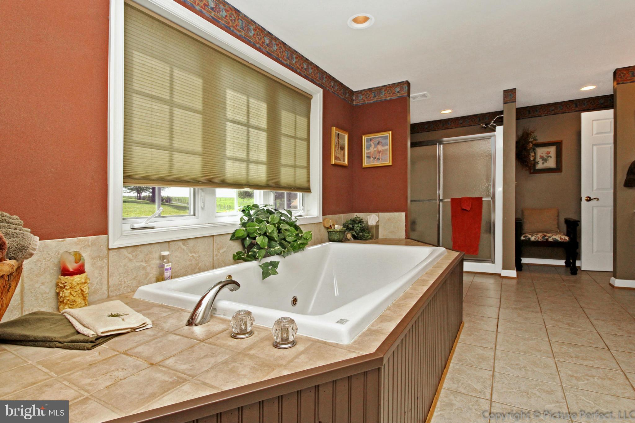 6320 New London Road New Market, MD 21774 - Photo 19 of 30 Bath (Master)