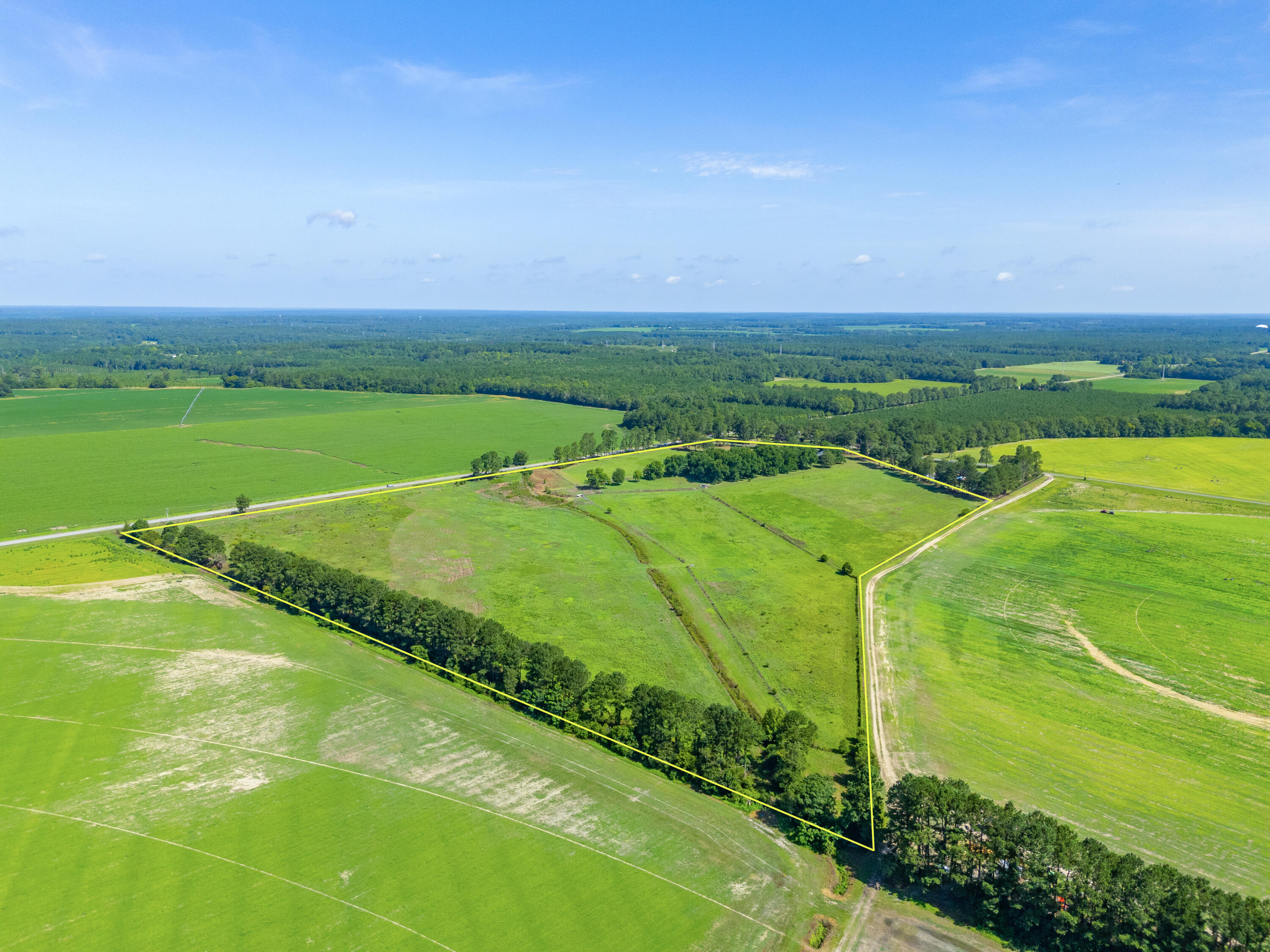 449 Hi-Cotton Lane Springfield, SC 29146 - Photo 13 of 34 DJI_20240718103512_0011_D-Edit