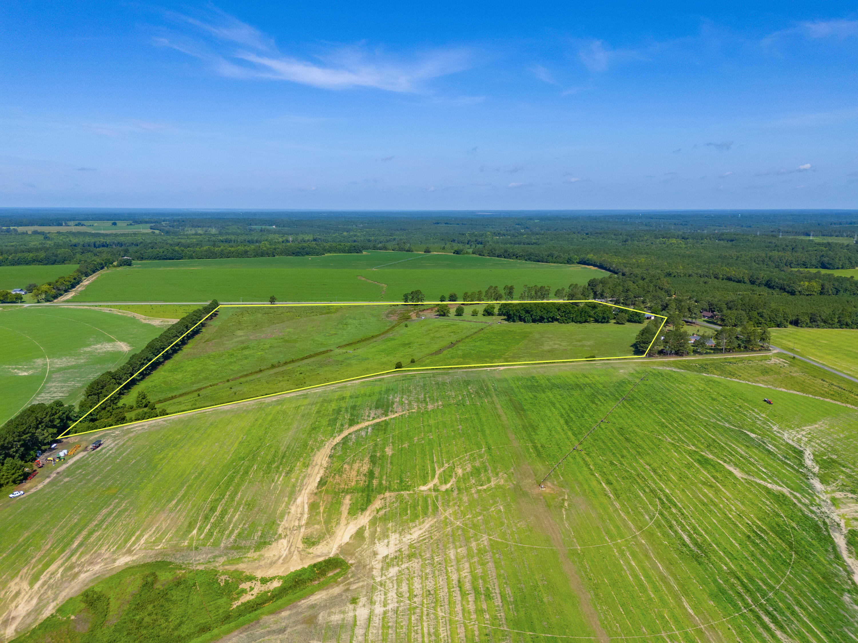 449 Hi-Cotton Lane Springfield, SC 29146 - Photo 14 of 34 DJI_20240718103549_0012_D-Edit