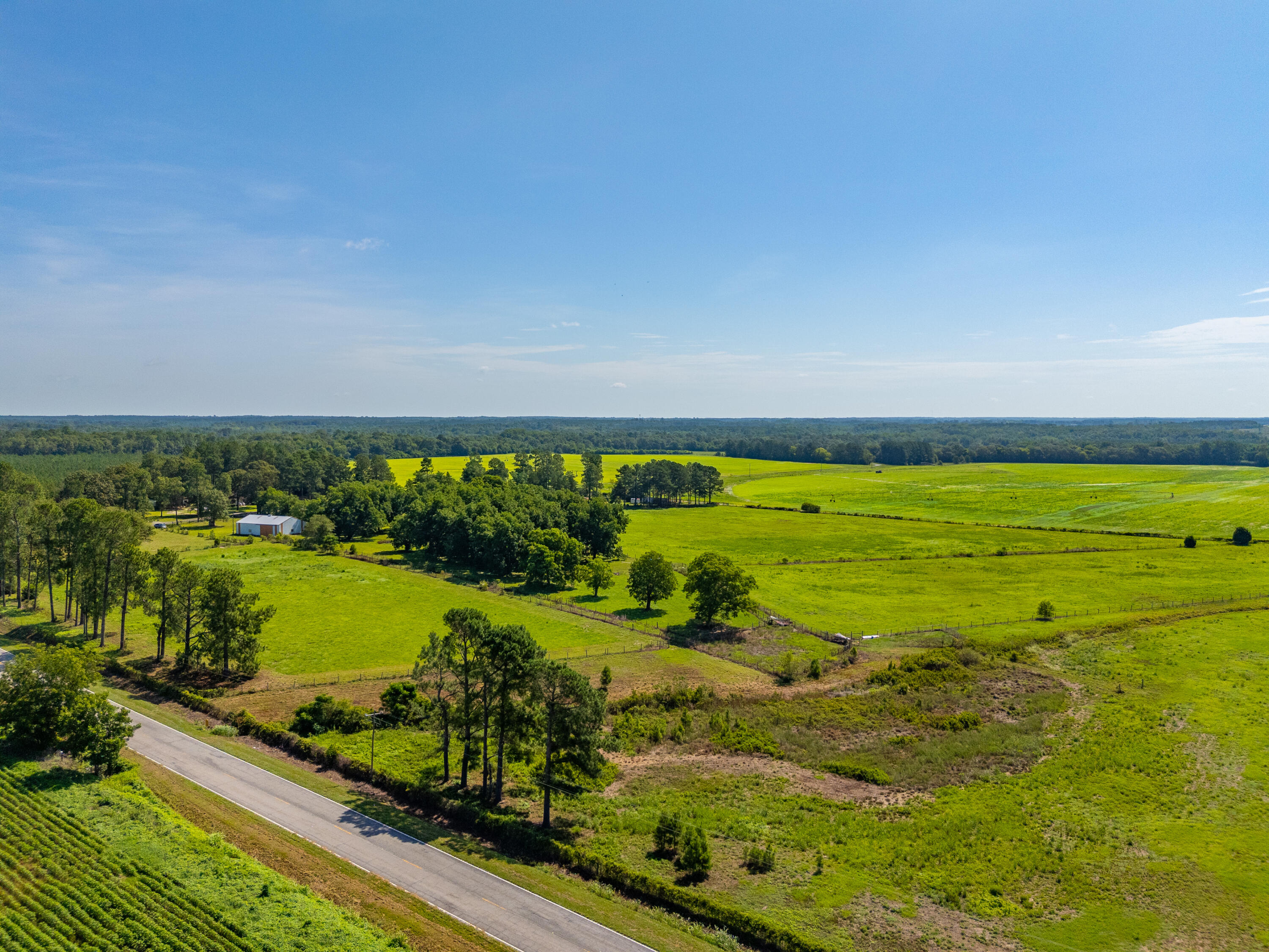 449 Hi-Cotton Lane Springfield, SC 29146 - Photo 16 of 34 DJI_20240718104604_0027_D