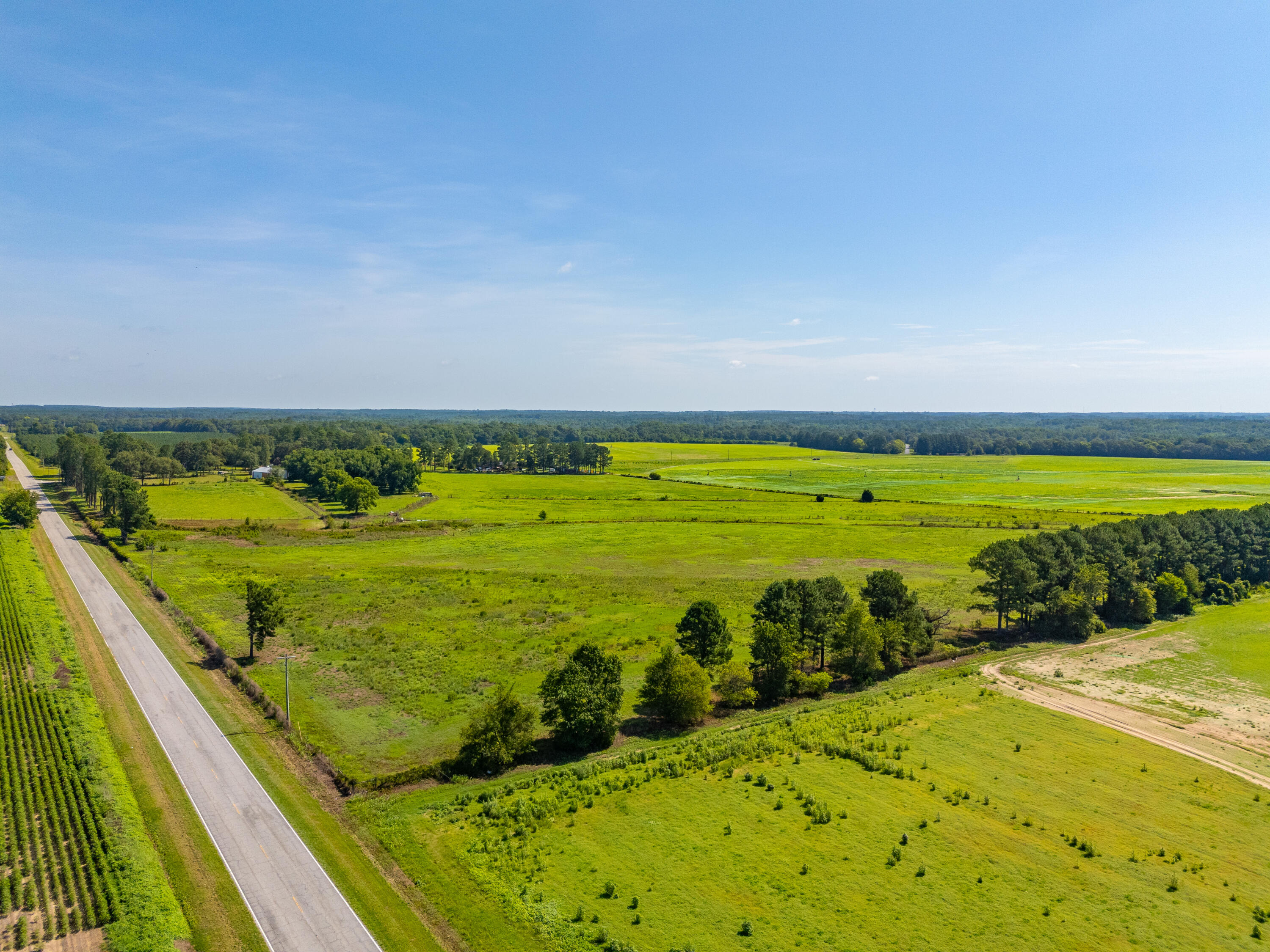 449 Hi-Cotton Lane Springfield, SC 29146 - Photo 17 of 34 DJI_20240718104636_0028_D