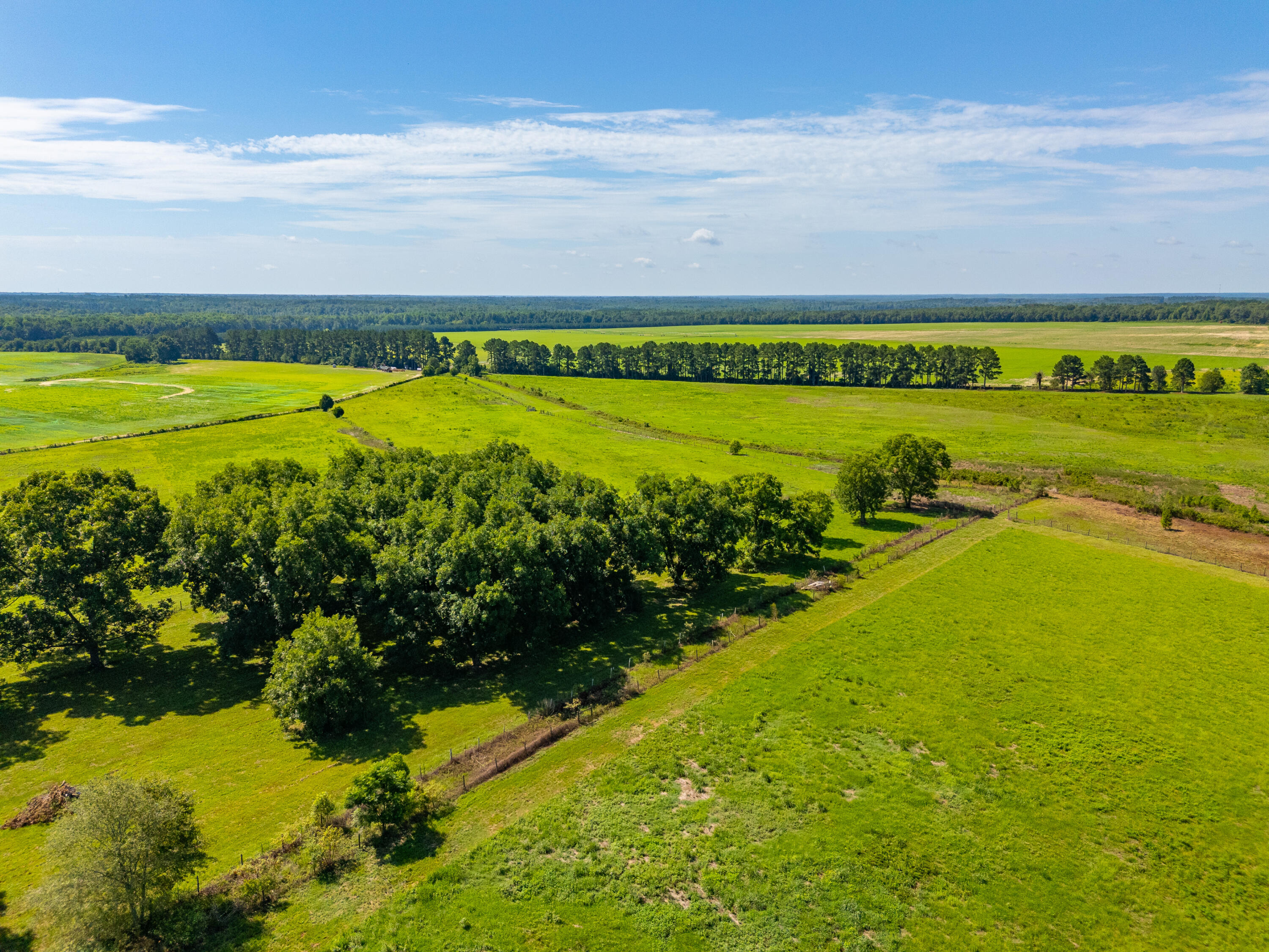449 Hi-Cotton Lane Springfield, SC 29146 - Photo 19 of 34 DJI_20240718104739_0032_D