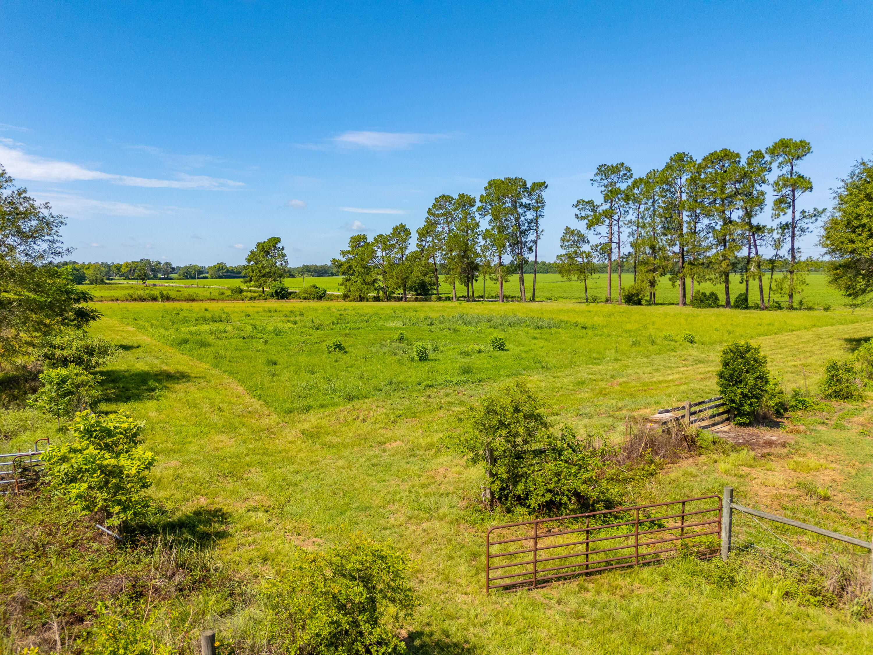 449 Hi-Cotton Lane Springfield, SC 29146 - Photo 21 of 34 DJI_20240718105143_0034_D