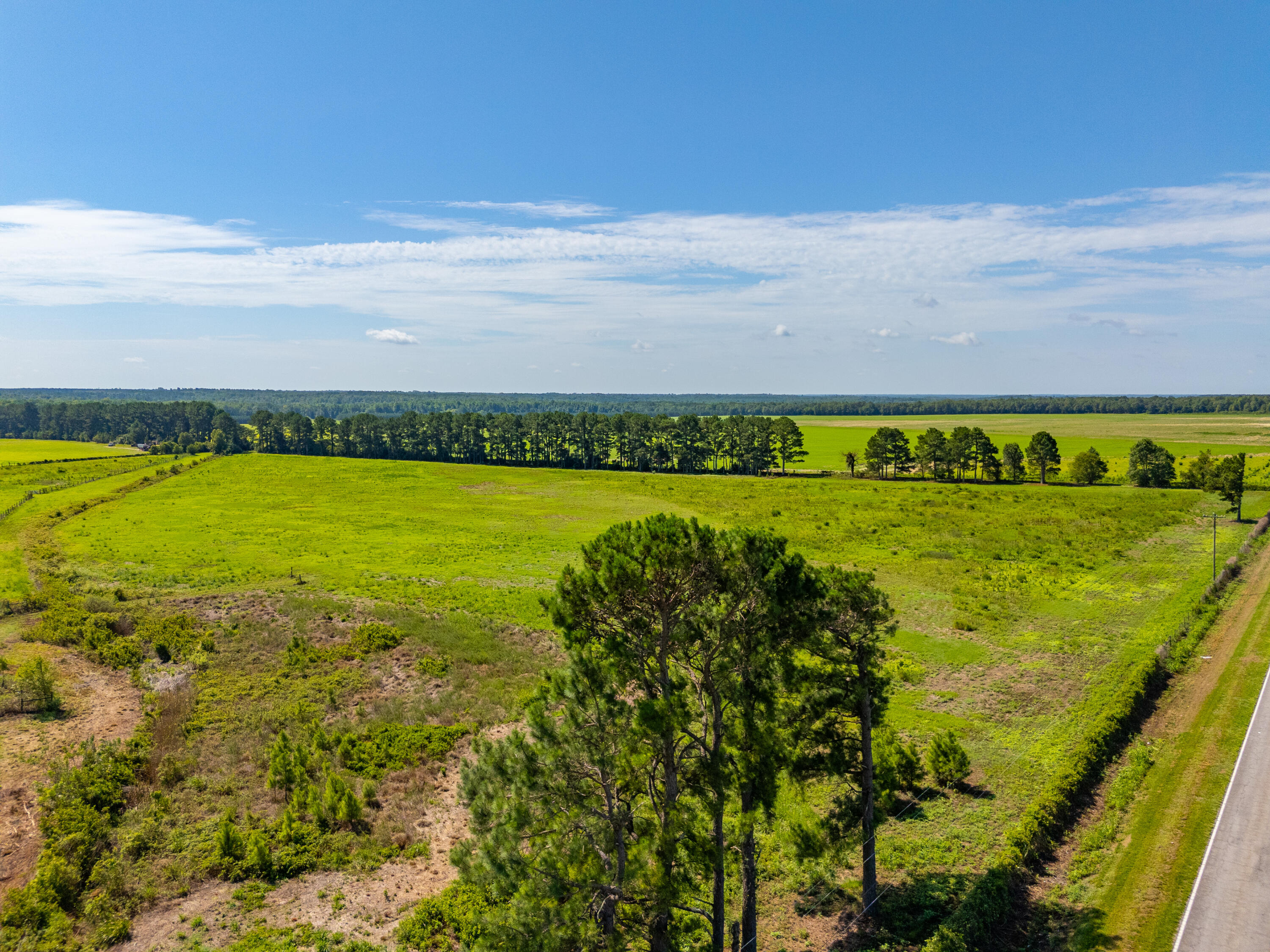 449 Hi-Cotton Lane Springfield, SC 29146 - Photo 24 of 34 DJI_20240718105230_0037_D