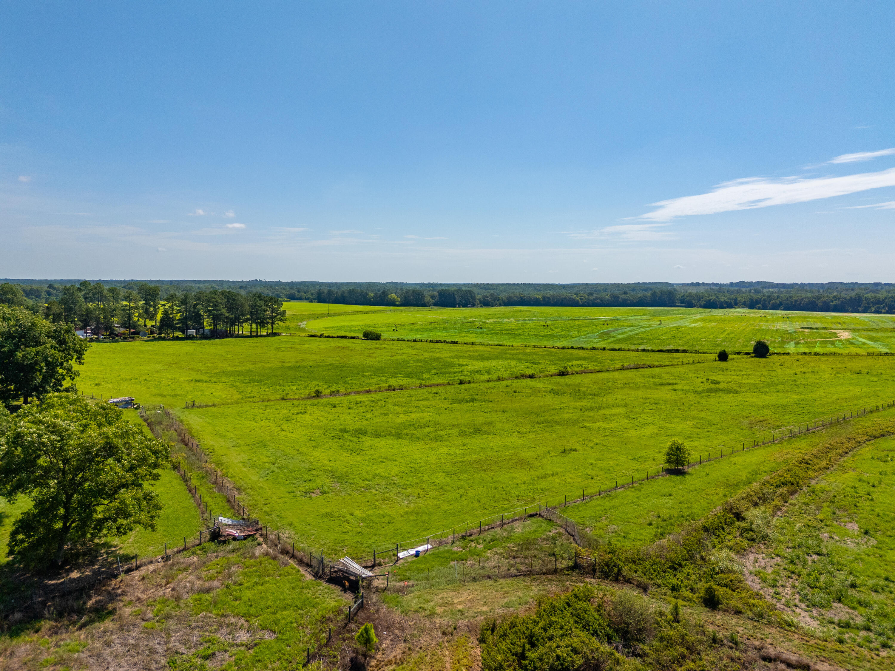 449 Hi-Cotton Lane Springfield, SC 29146 - Photo 25 of 34 DJI_20240718105243_0038_D