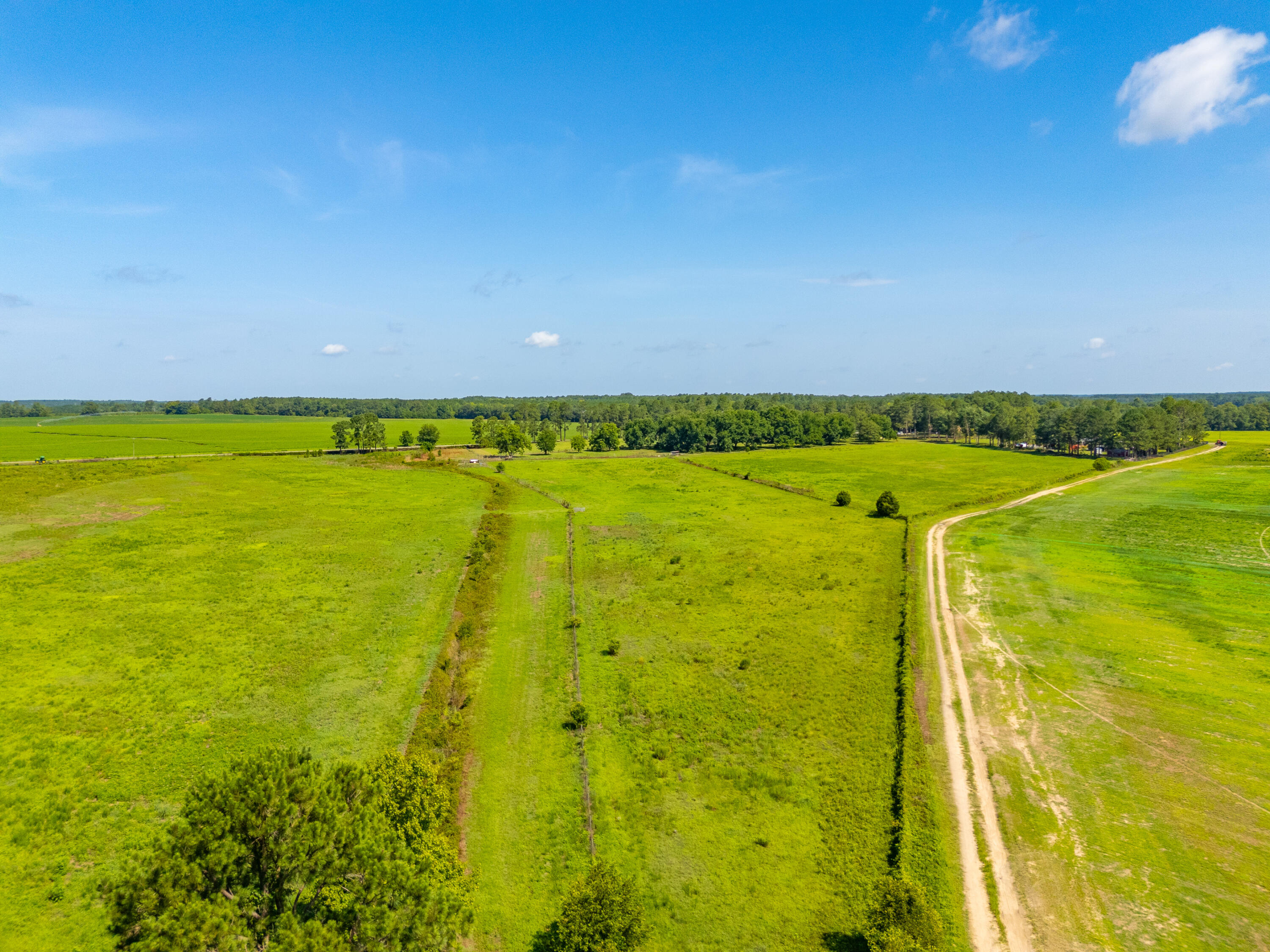 449 Hi-Cotton Lane Springfield, SC 29146 - Photo 26 of 34 DJI_20240718105320_0039_D