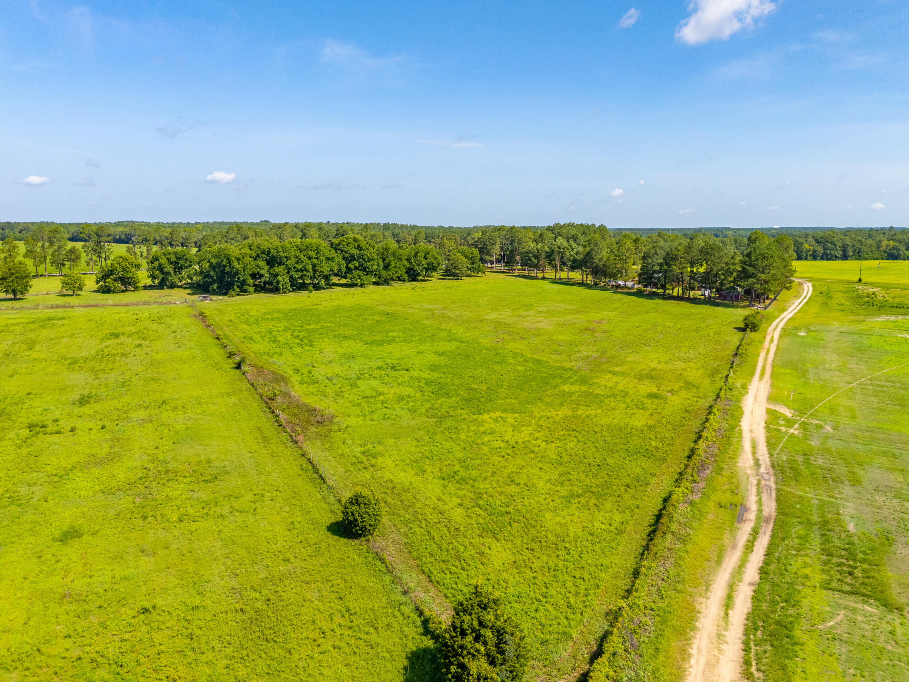 449 Hi-Cotton Lane Springfield, SC 29146 - Photo 27 of 34 DJI_20240718105338_0040_D