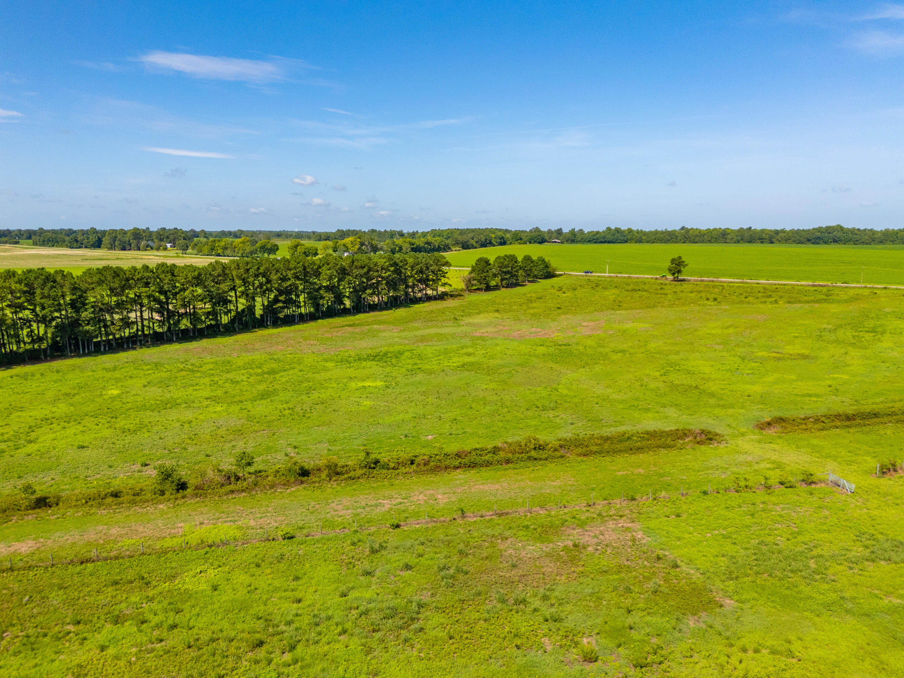 449 Hi-Cotton Lane Springfield, SC 29146 - Photo 28 of 34 DJI_20240718105344_0041_D