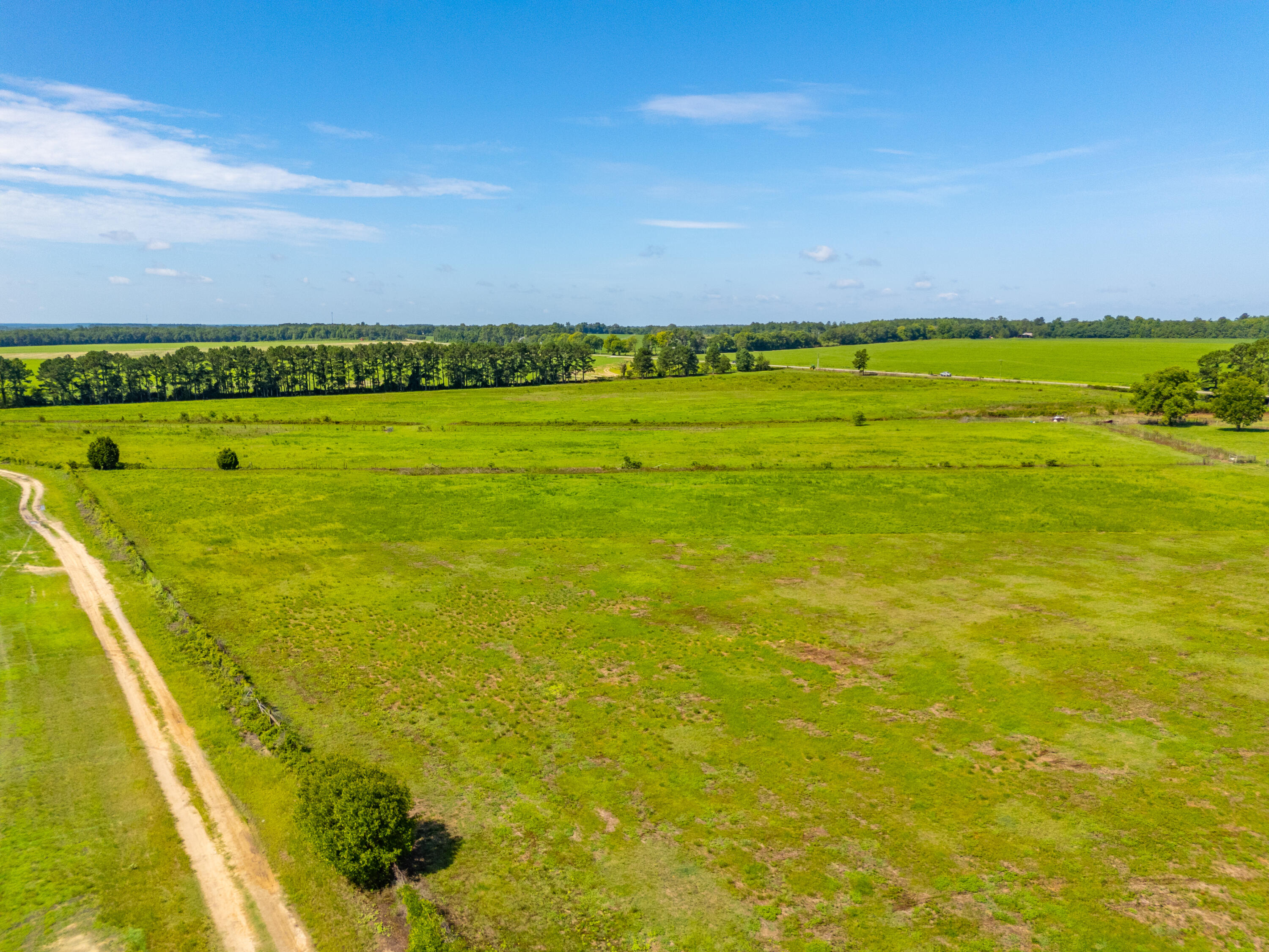 449 Hi-Cotton Lane Springfield, SC 29146 - Photo 29 of 34 DJI_20240718105405_0042_D