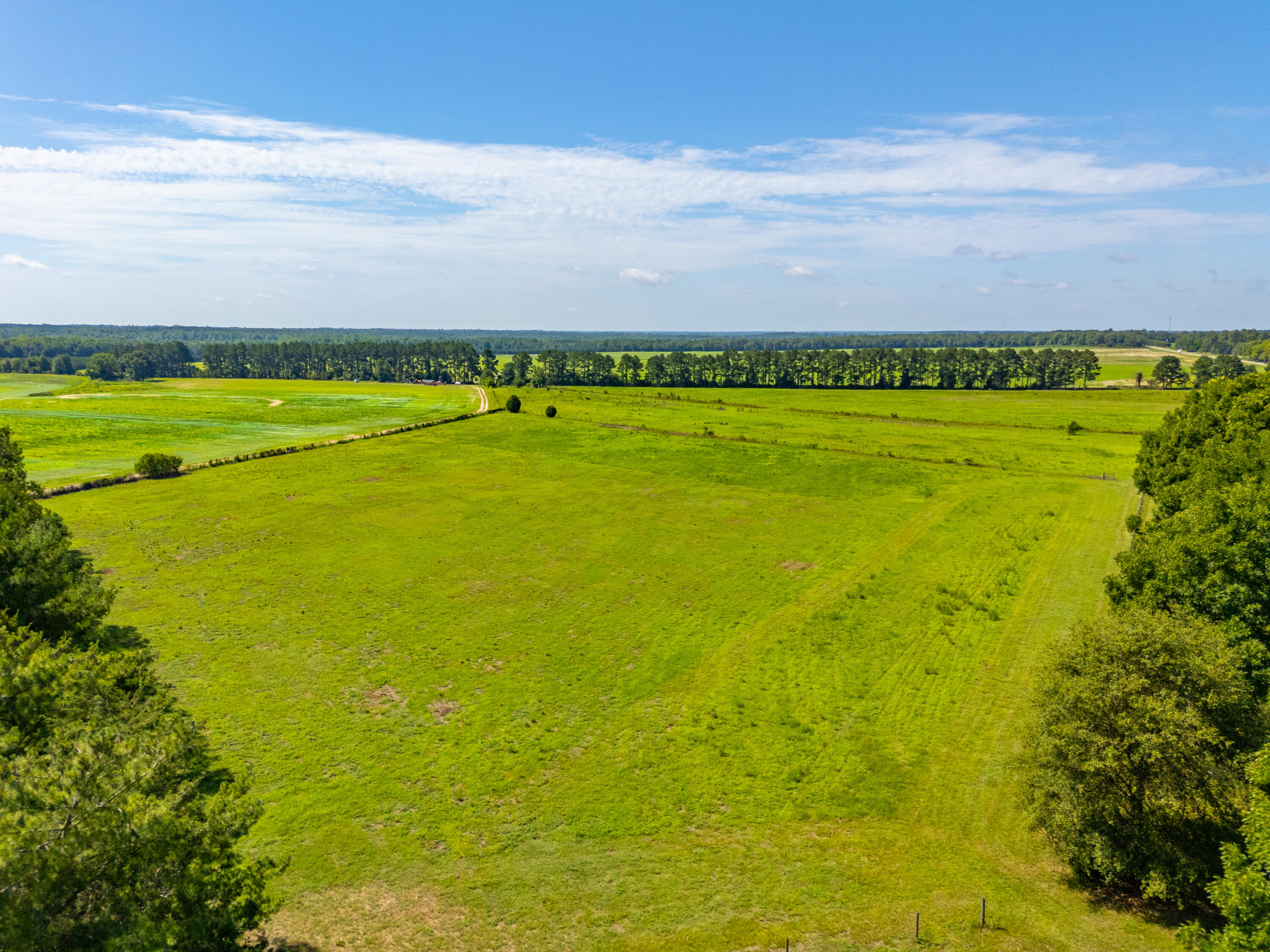 449 Hi-Cotton Lane Springfield, SC 29146 - Photo 30 of 34 DJI_20240718105433_0043_D