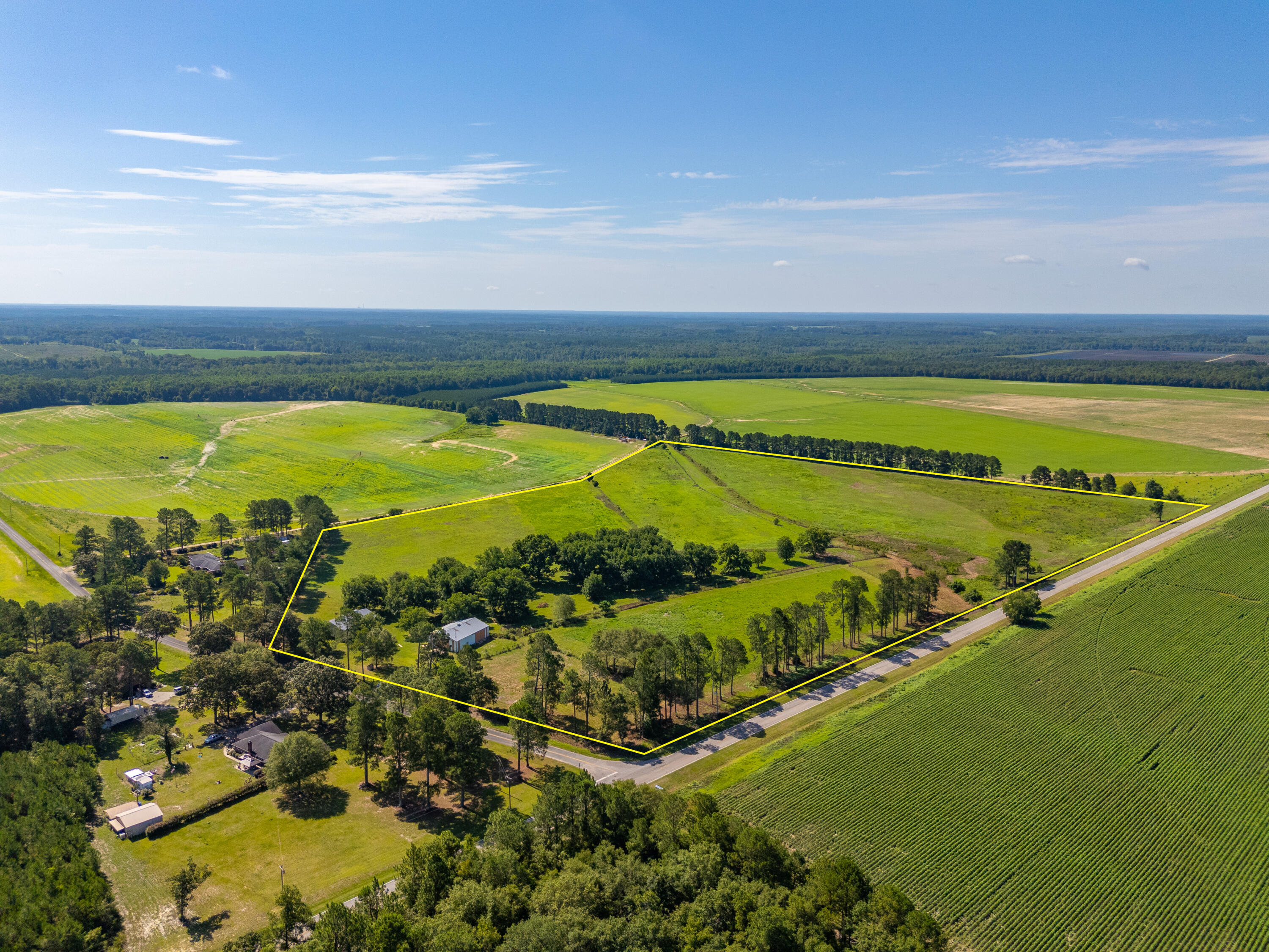 449 Hi-Cotton Lane Springfield, SC 29146 - Photo 4 of 34 DJI_20240718103225_0007_D-Edit