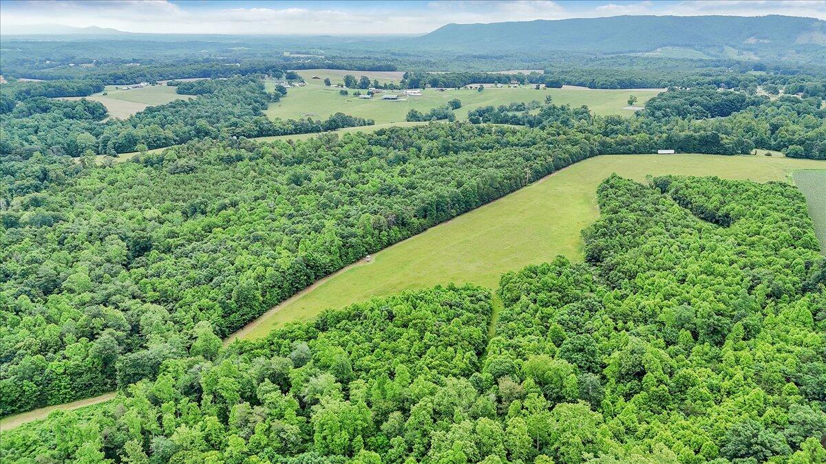 0 Beulah Road Rocky Mount, VA 24151 - Photo 13 of 37 a view of a lush green field