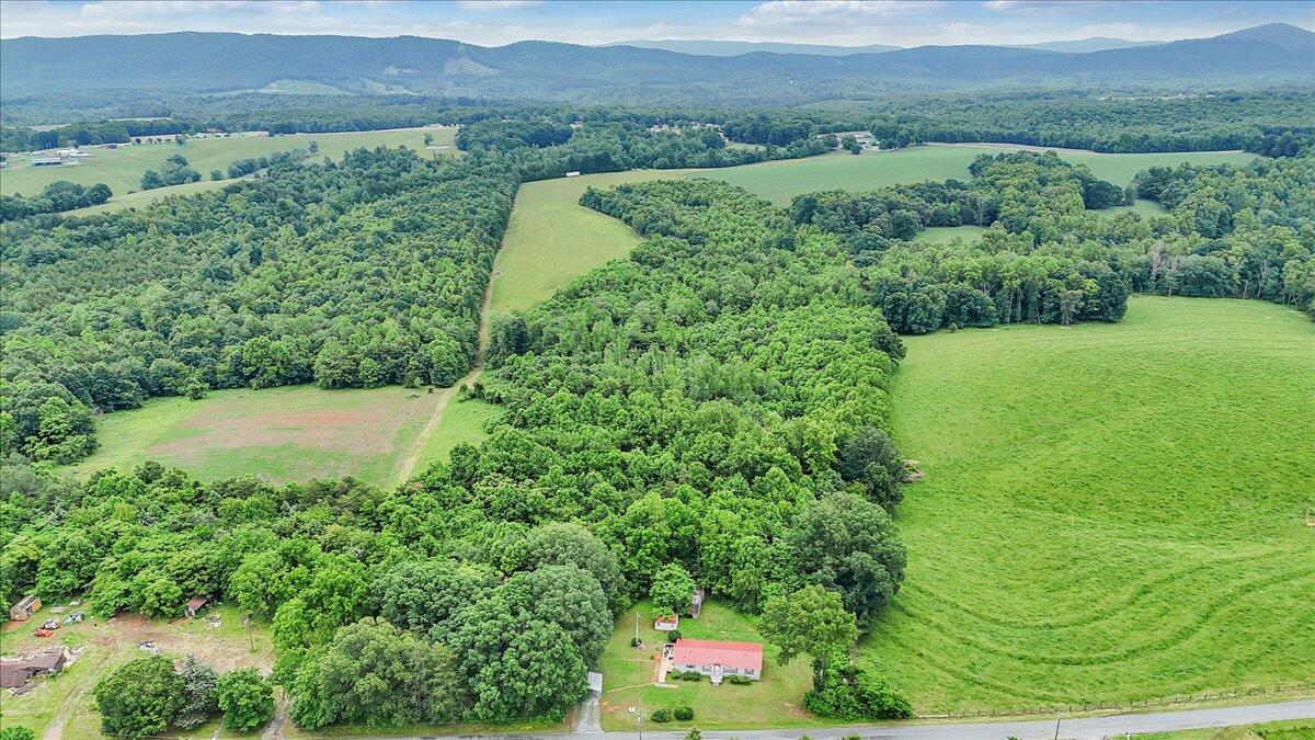 0 Beulah Road Rocky Mount, VA 24151 - Photo 14 of 37 a view of a lush green forest