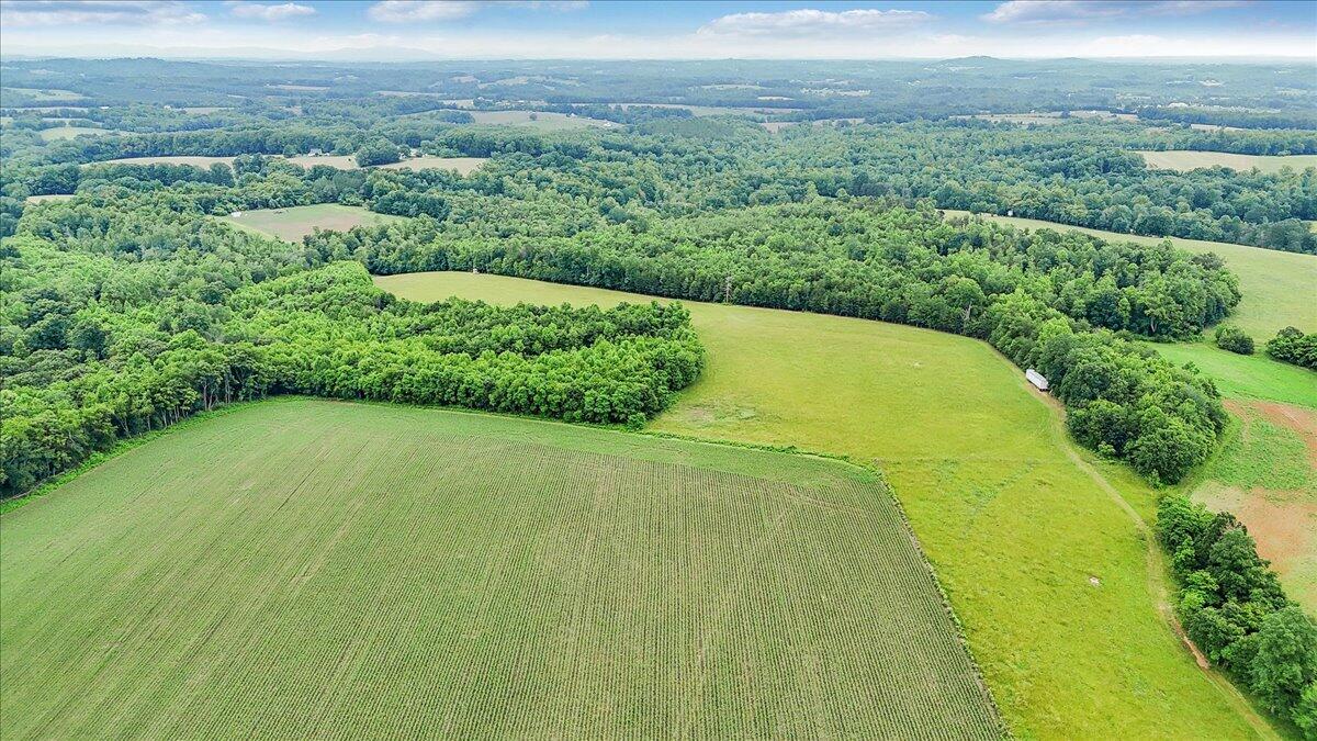 0 Beulah Road Rocky Mount, VA 24151 - Photo 18 of 37 a view of a big yard with large trees