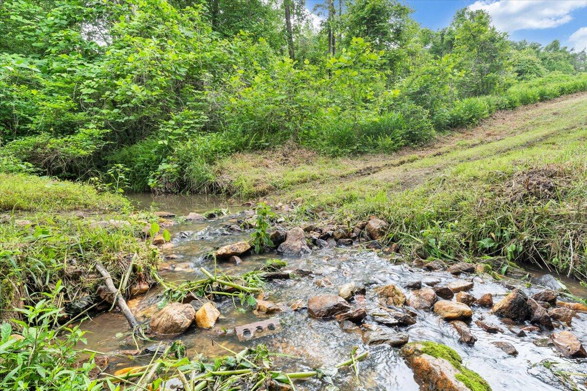 0 Beulah Road Rocky Mount, VA 24151 - Photo 2 of 37 a view of a forest with a tree