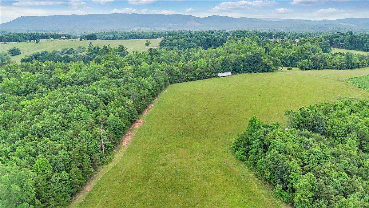 0 Beulah Road Rocky Mount, VA 24151 - Photo 25 of 37 a view of a lush green field
