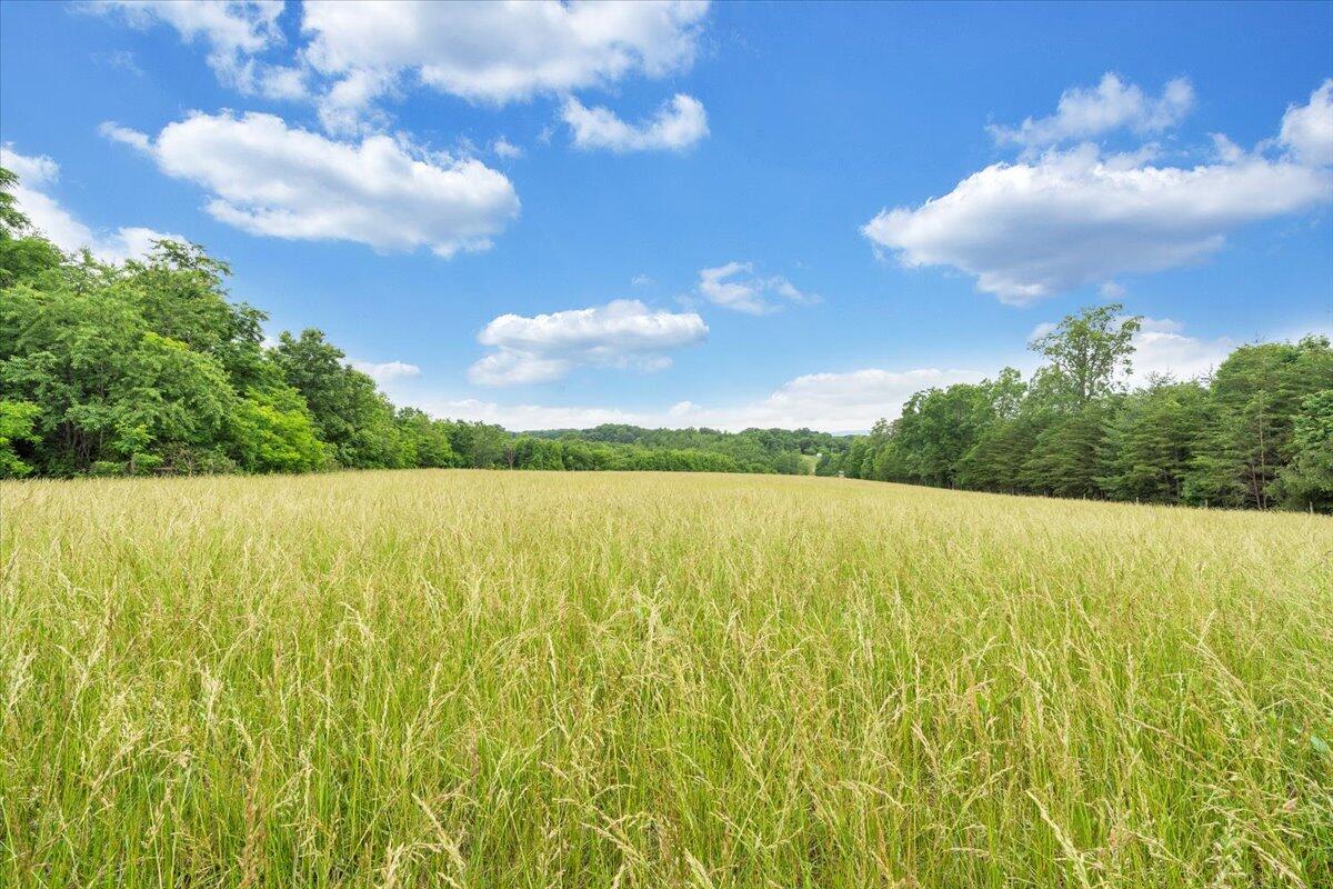 0 Beulah Road Rocky Mount, VA 24151 - Photo 30 of 37 a view of an outdoor space and a yard