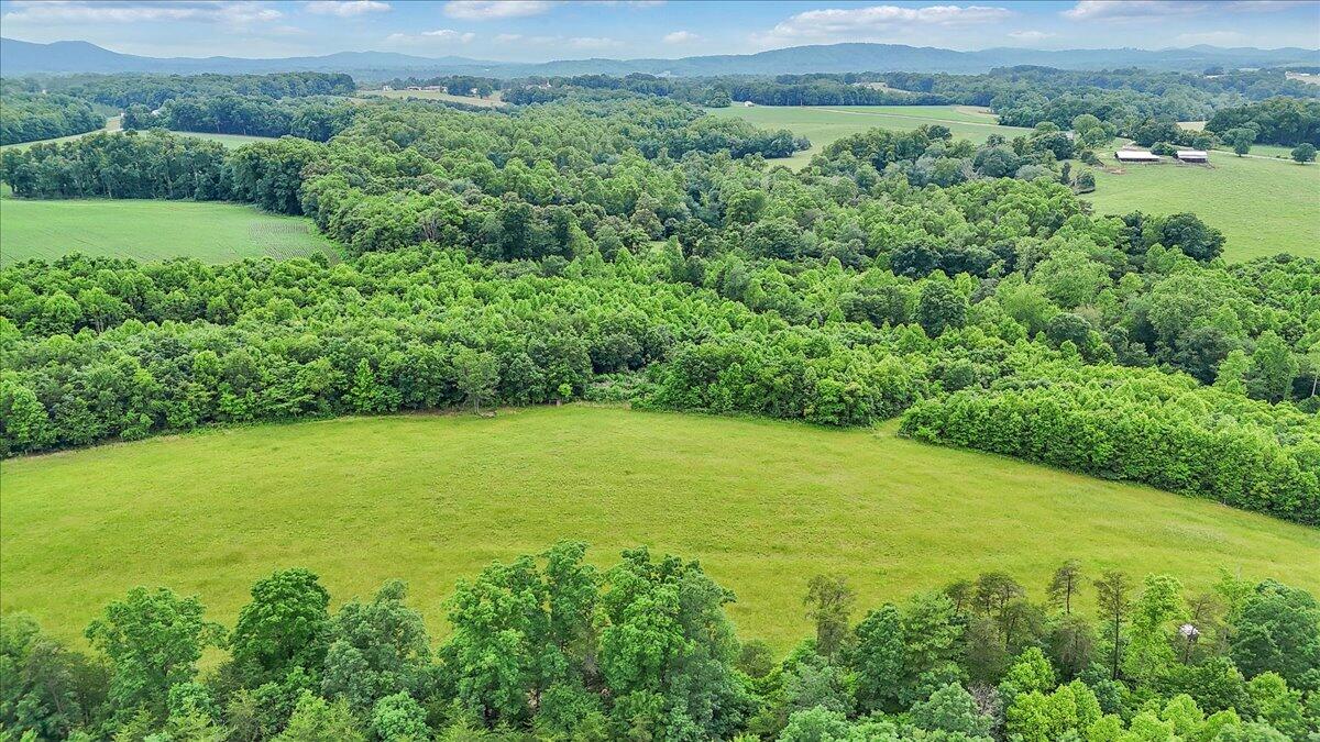 0 Beulah Road Rocky Mount, VA 24151 - Photo 3 of 37 a view of a big yard with lots of green space