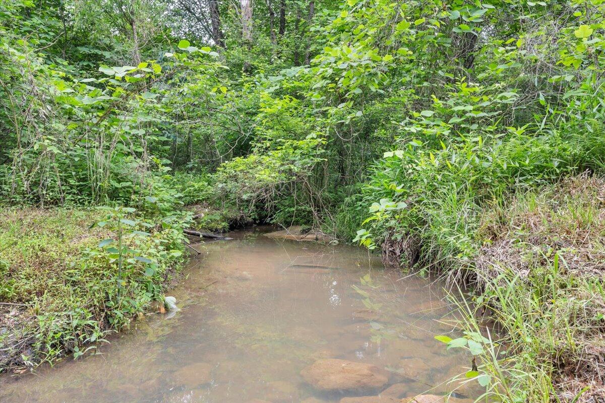 0 Beulah Road Rocky Mount, VA 24151 - Photo 36 of 37 a view of a garden with plants