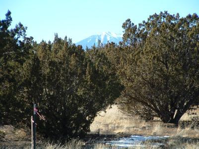 2 East Alpine Ranches Road Flagstaff, AZ 86004 - Photo 1 of 8 Primary Photo
