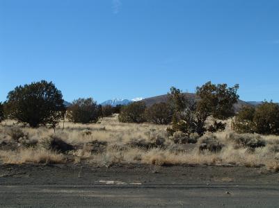 2 East Alpine Ranches Road Flagstaff, AZ 86004 - Photo 2 of 8 Additional Photo