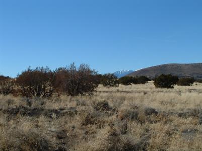 2 East Alpine Ranches Road Flagstaff, AZ 86004 - Photo 5 of 8 Additional Photo