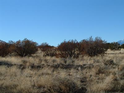 2 East Alpine Ranches Road Flagstaff, AZ 86004 - Photo 6 of 8 Additional Photo