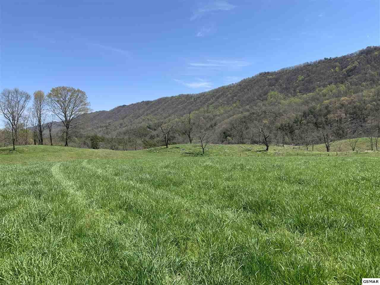 617 War Creek Road Eidson, TN 37731 - Photo 4 of 35