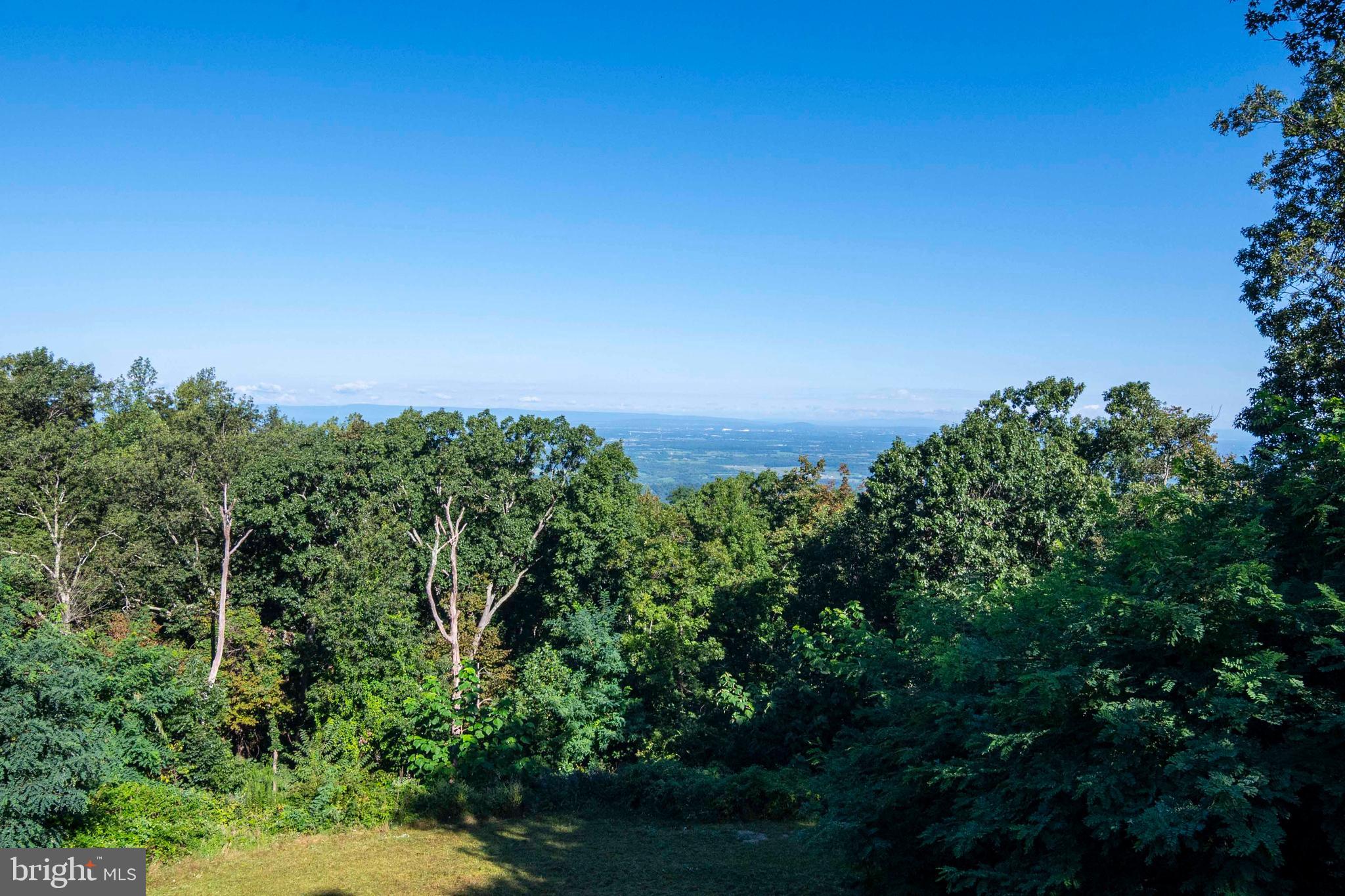 4871 Blue Mountain Road Linden, VA 22642 - Photo 18 of 73 a view of a garden with a building in the background