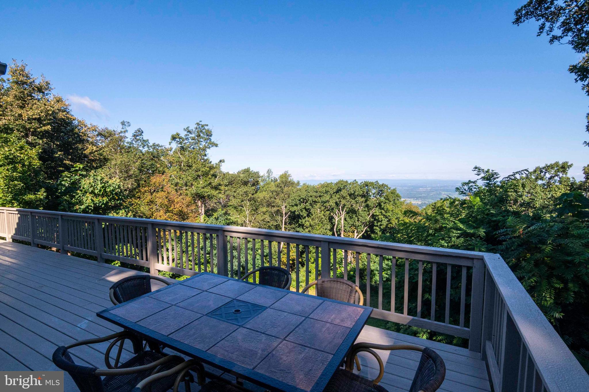 4871 Blue Mountain Road Linden, VA 22642 - Photo 19 of 73 a view of a balcony with wooden floor and outdoor seating