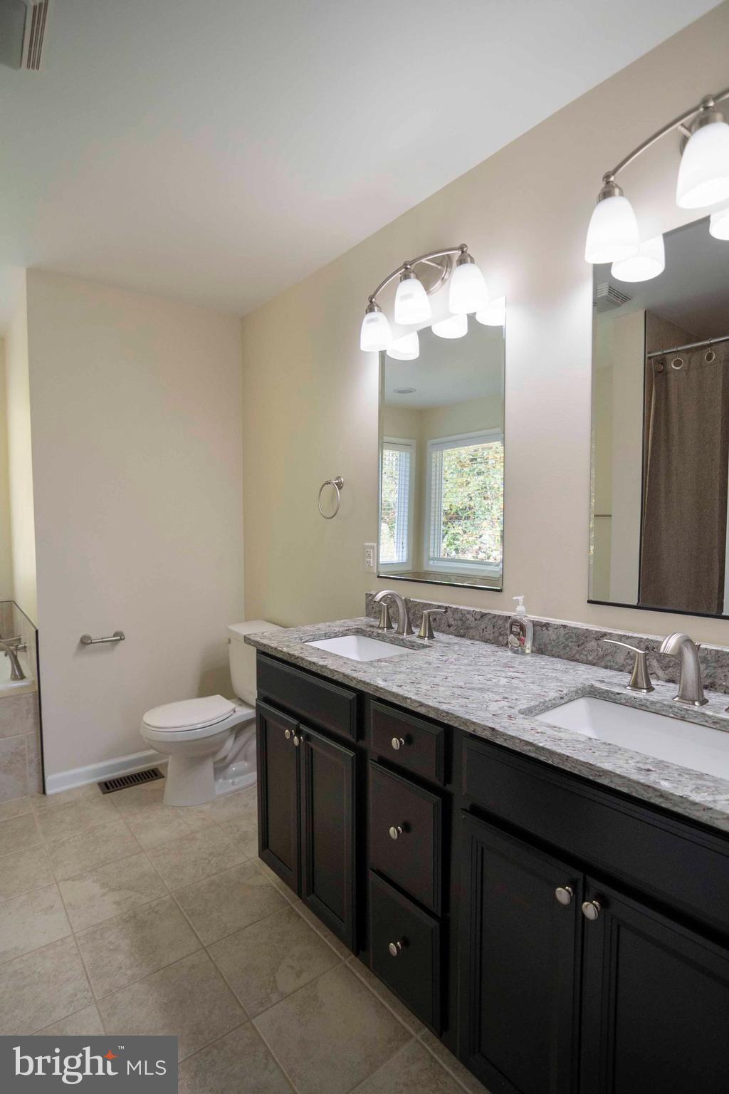 4871 Blue Mountain Road Linden, VA 22642 - Photo 44 of 73 a bathroom with a granite countertop sink mirror and toilet