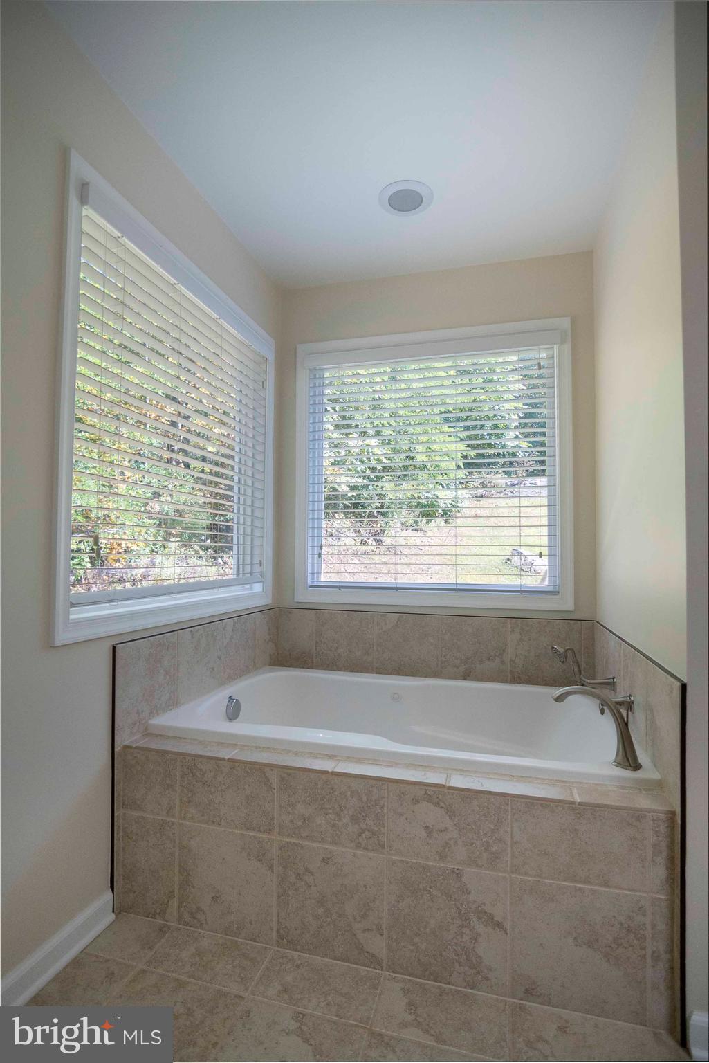4871 Blue Mountain Road Linden, VA 22642 - Photo 45 of 73 a bath tub sitting in a bathroom next to a window