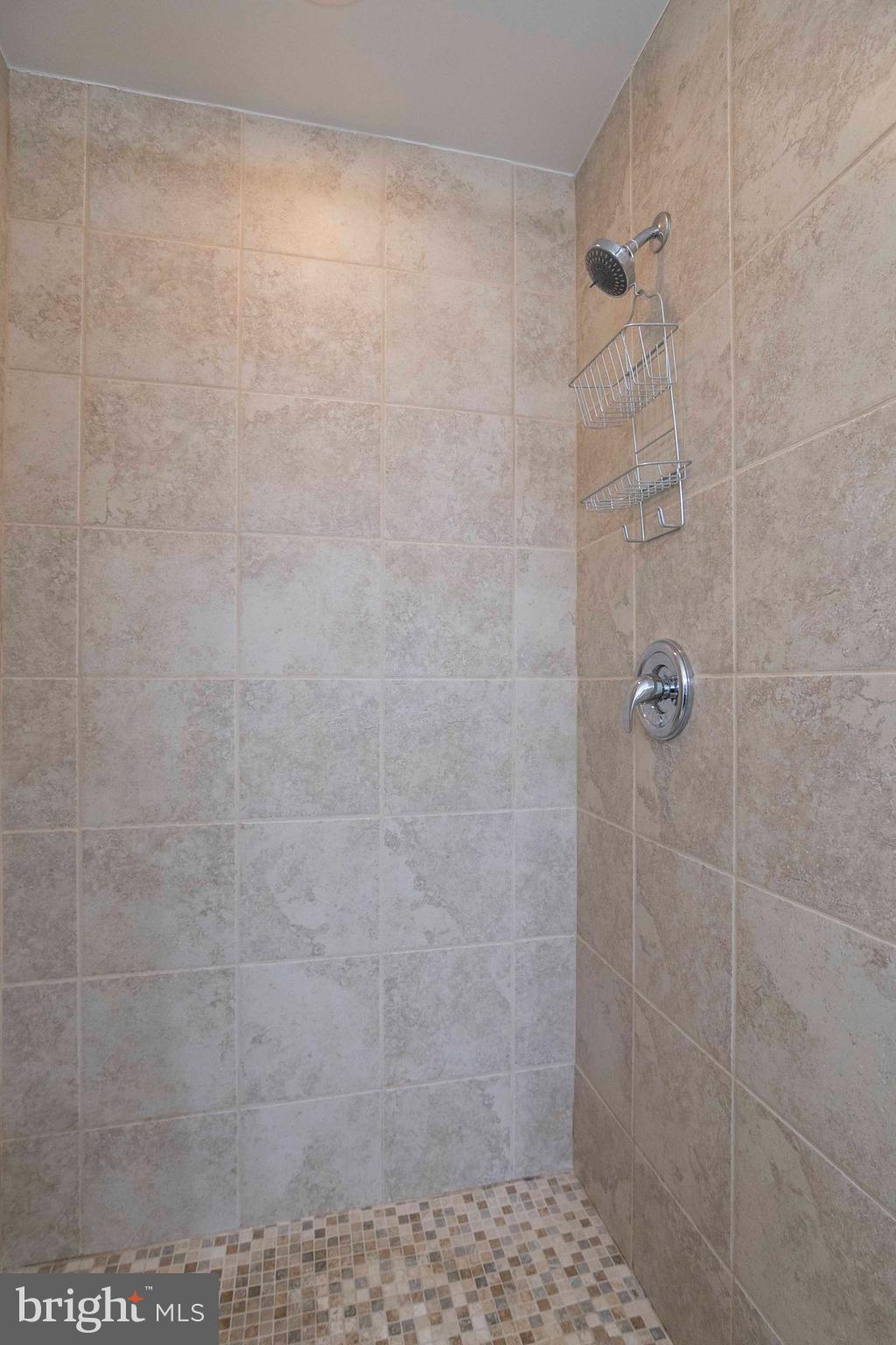 4871 Blue Mountain Road Linden, VA 22642 - Photo 46 of 73