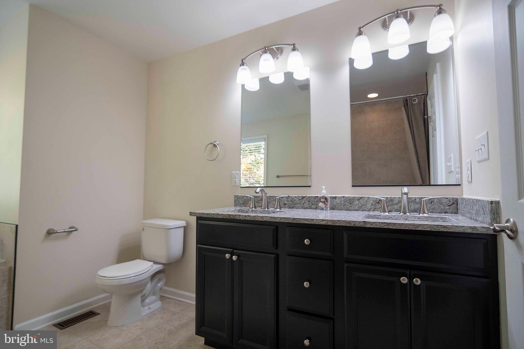 4871 Blue Mountain Road Linden, VA 22642 - Photo 47 of 73 a bathroom with a toilet sink and mirror