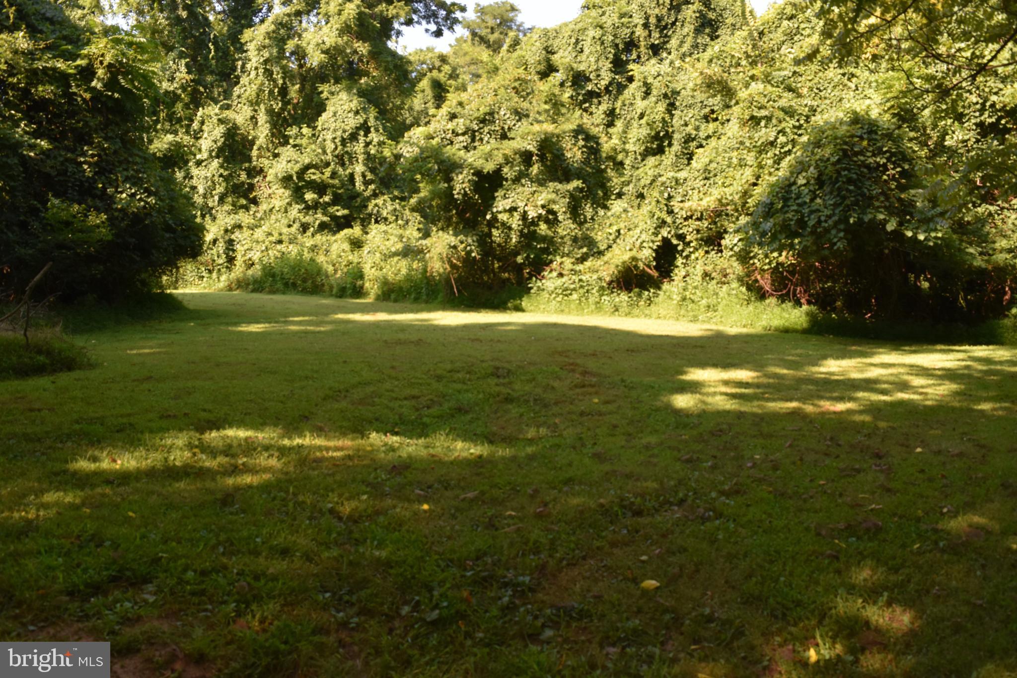 4871 Blue Mountain Road Linden, VA 22642 - Photo 64 of 73 a view of an ocean from a yard