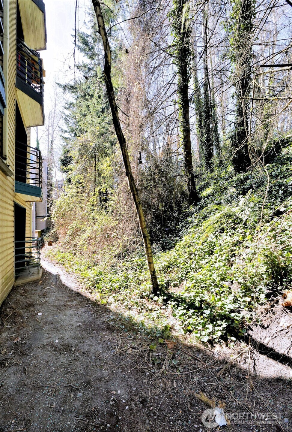 3905 Southwest Avalon Way Seattle, WA 98126 - Photo 17 of 24 Gallery Image 17