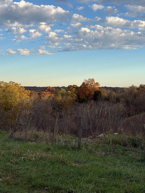 2428 Hempfling Road Morning View, KY 41063 - Photo 3 of 44 Gallery Image 3