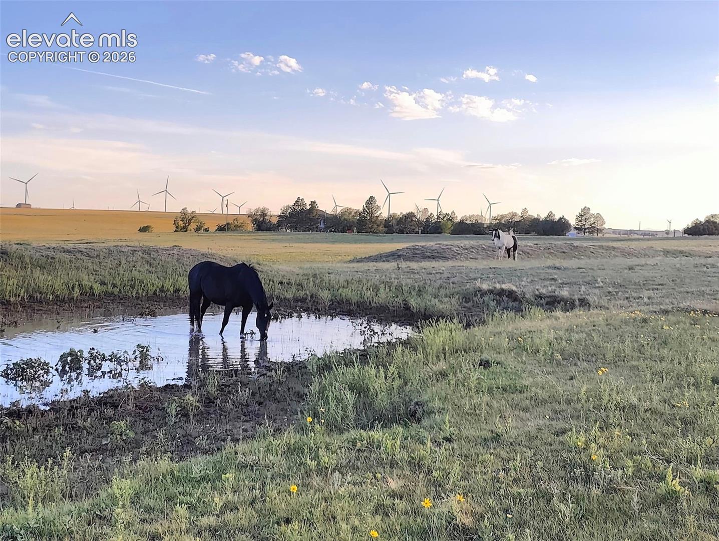 2 Currier Road Calhan, CO 80808 - Photo 10 of 15 Gallery Image 10