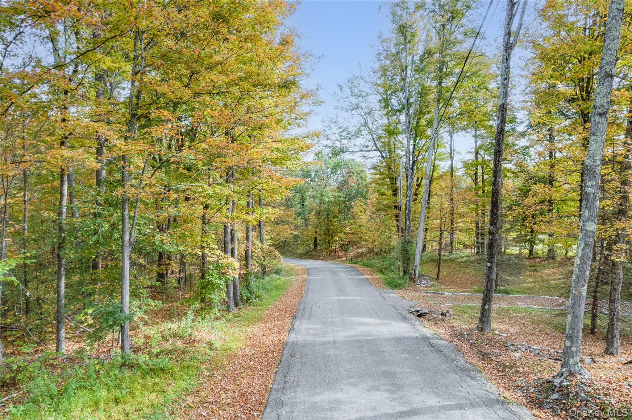 91 Decker Road Ancram, NY 12502 - Photo 24 of 35 a view of a pathway both side of yard