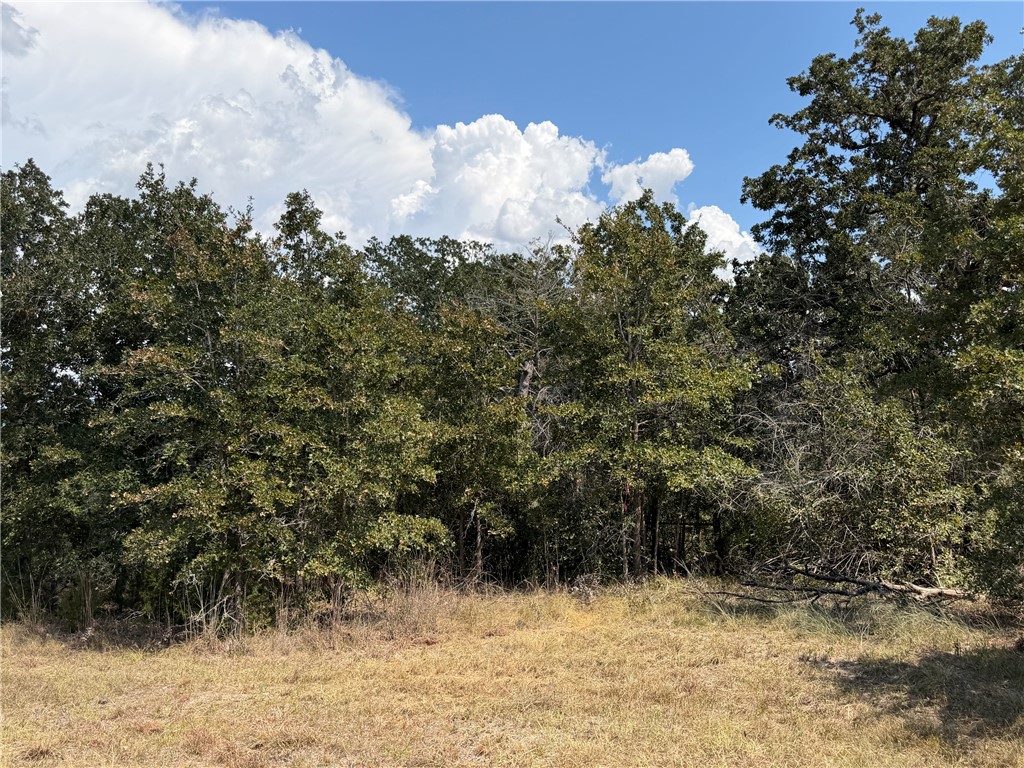 N/a Minter Spring Road College Station, TX 77845 - Photo 11 of 11 Gallery Image 11