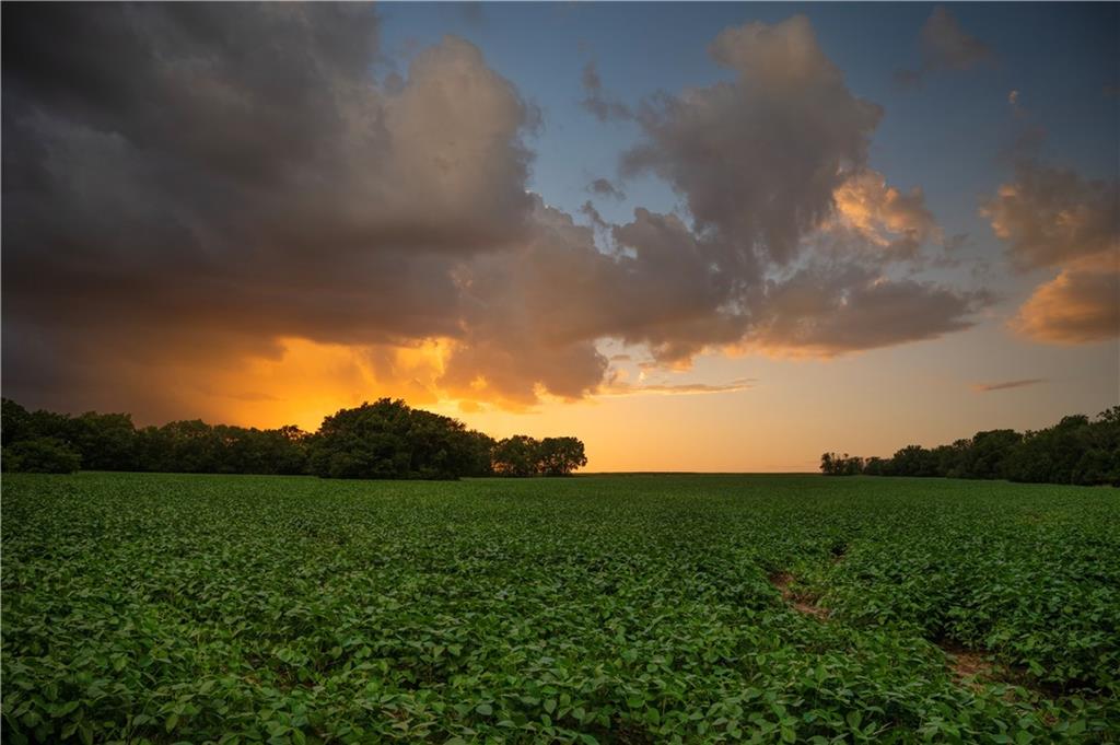 Tbd Road Rich Hill, MO 64779 - Photo 10 of 38