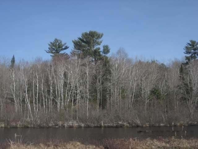 Off Martha Lake Road Mercer, WI 54547 - Photo 10 of 11 Gallery Image 10