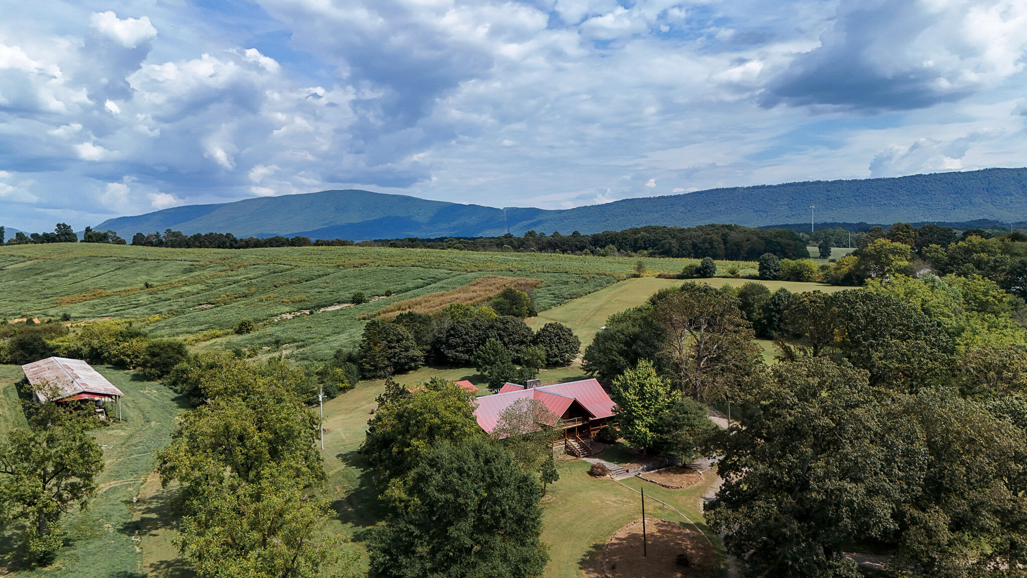 388 Patty Road Benton, TN 37307 - Photo 80 of 90 pattydrone-18